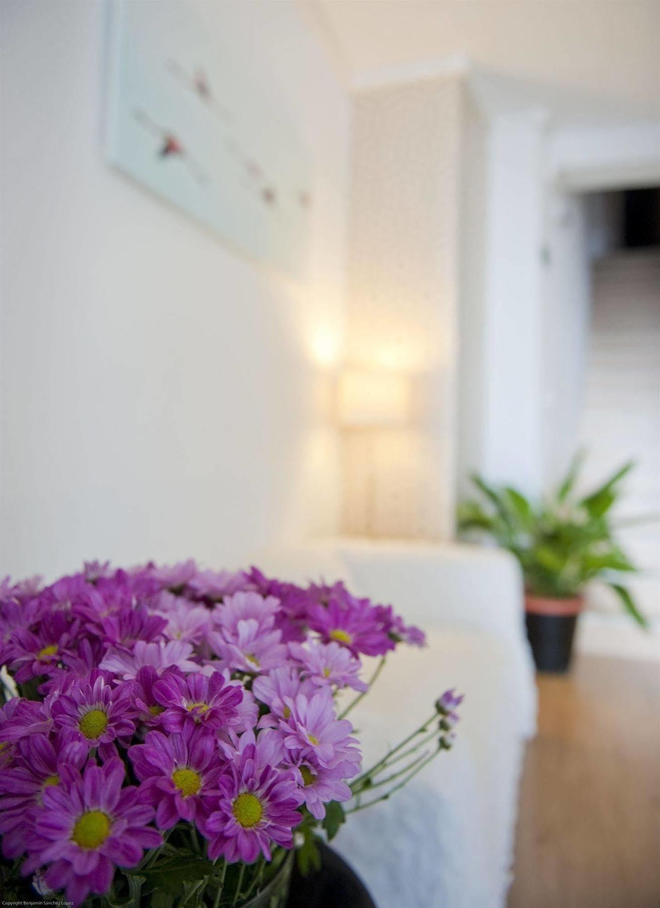 Hostal Five Gates Осуна Екстериор снимка